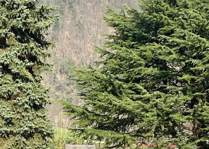 Apartment Weitblick 2 Amorbach